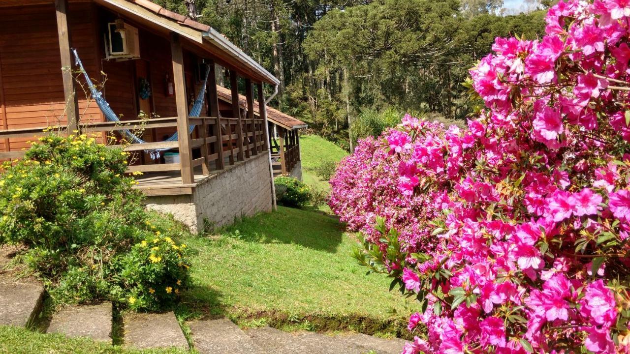 Estalagem Reserva Da Collina غرامادو المظهر الخارجي الصورة