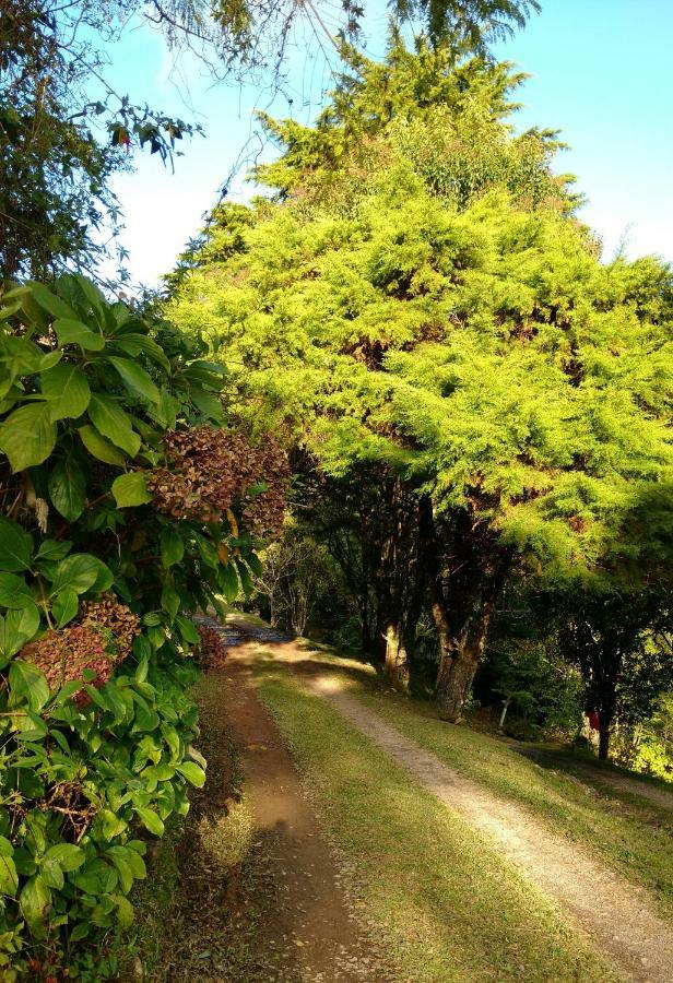 Estalagem Reserva Da Collina غرامادو المظهر الخارجي الصورة